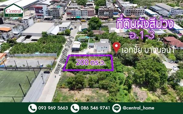 ที่ดินผังสีม่วง 200 ตร.วา ซอยเอกชัย 76/1