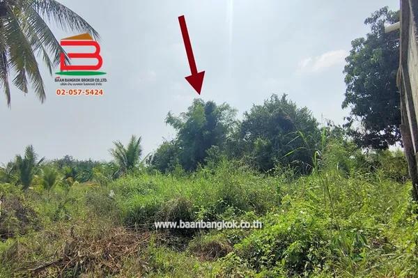 ที่ดินเปล่า บ้านหนองหัวเรือ ซ.6 เนื้อที่ 116 ตรว.