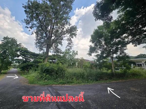 ขายที่ดิน 289.9 ตร.ว ม.ภูภัทรา ปากช่อง เขาใหญ่ แปล