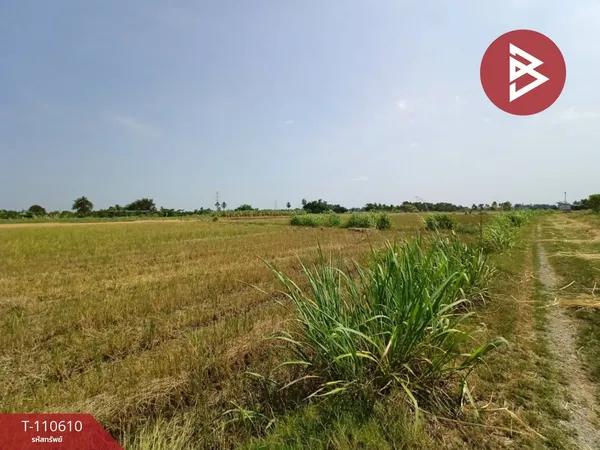 ขายที่ดิน เนื้อที่ 2 ไร่ 2 งาน 99.3 ตร.วา บ้านมะเกลือ นครสวรรค์